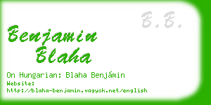 benjamin blaha business card